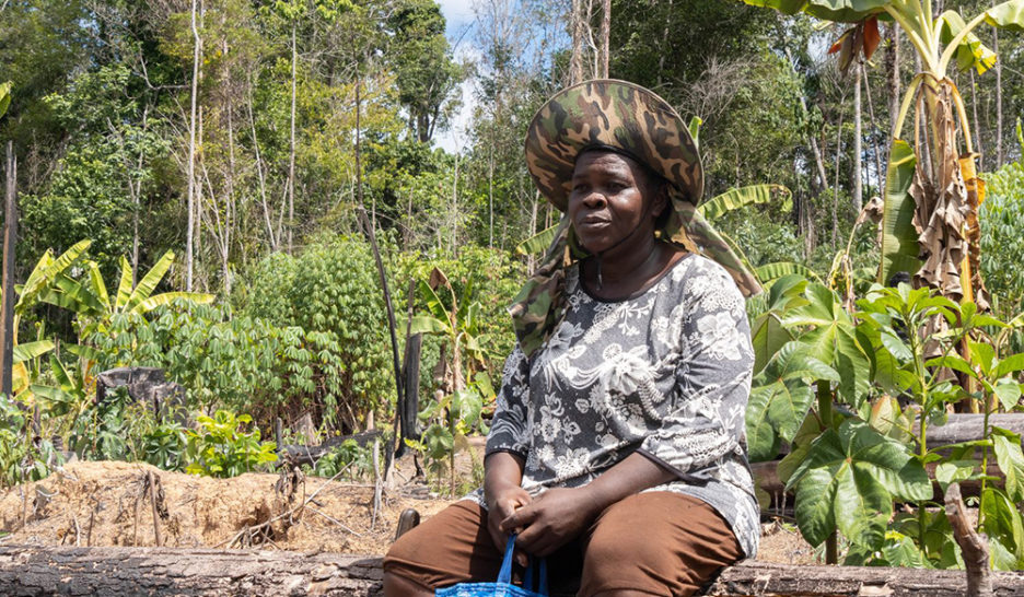 L'agroforesterie à la rescousse