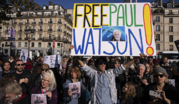 Le militant Paul Watson est libre