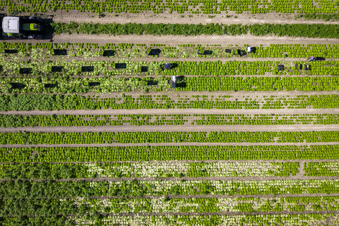 Changeons le cap de l'agriculture